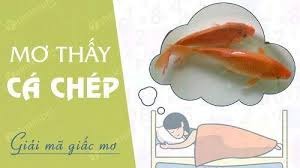 images 1 1