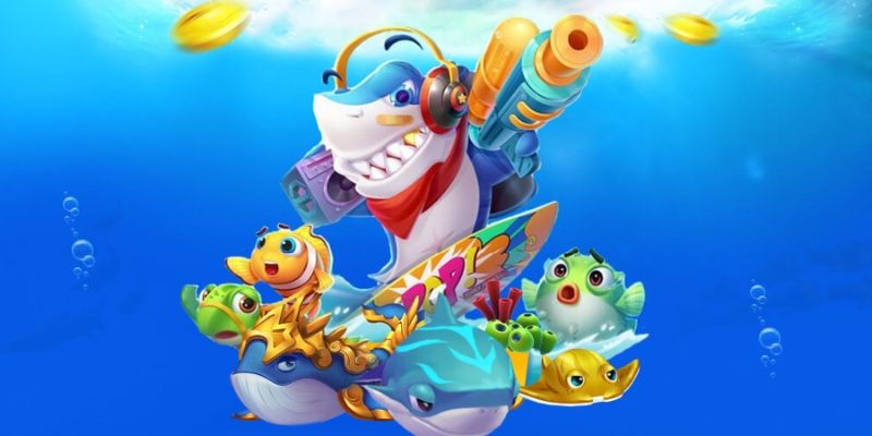 Regular and fresh fish shooting for newbies!